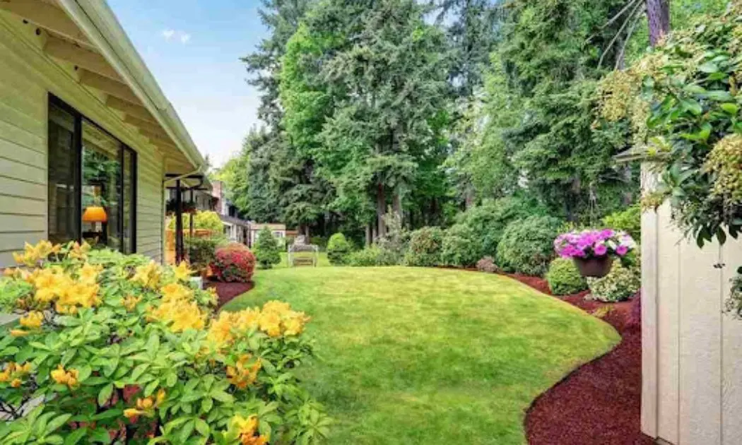 The Art of Luxury Landscape Design Cypress TX for Exclusive Homes
